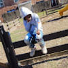 jdot2sturdy133